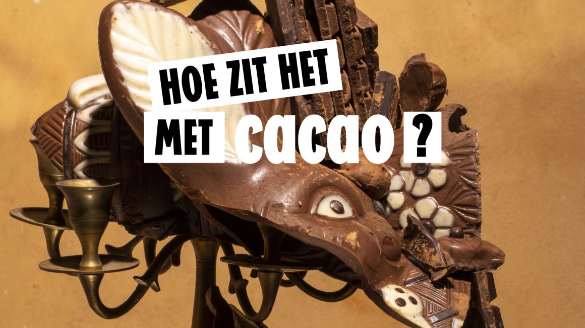 Dossier Cacao!