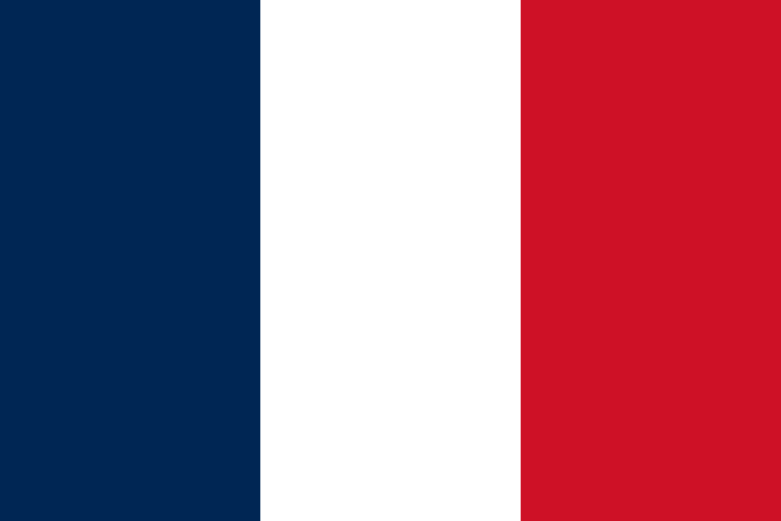 vlag Frans-Guyana