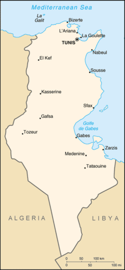 Tunesi�